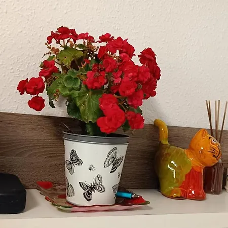 Διαμέρισμα Veronica